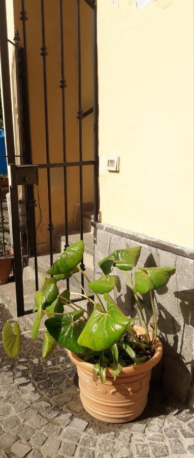 Pompei Vesevus Apartament Boscotrecase ภายนอก รูปภาพ